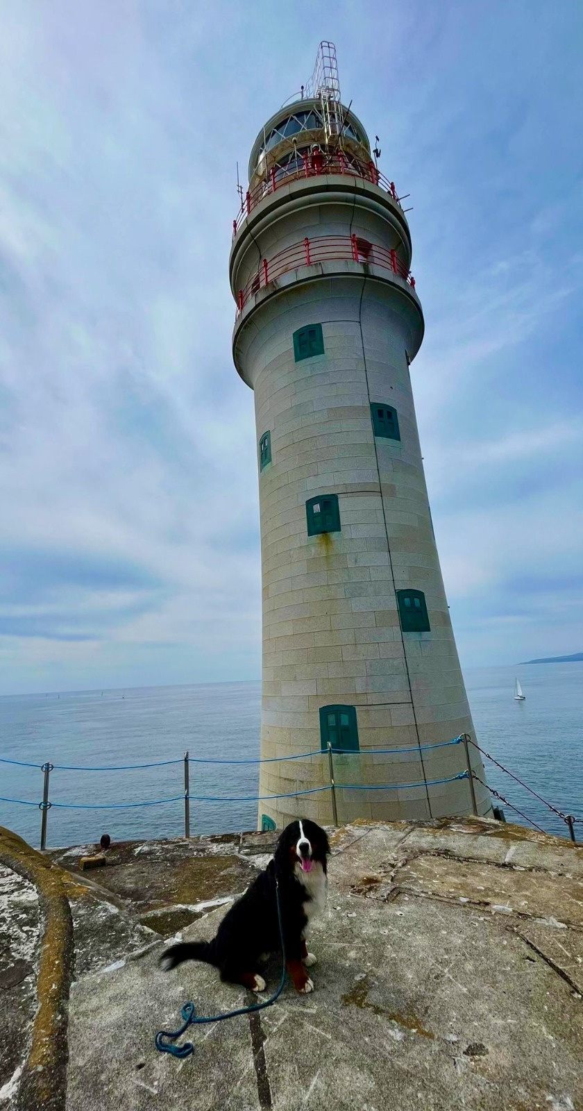 A unique spot for a dog walk to watch the fleet 